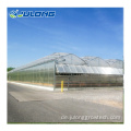 Multi -Span -Polycarbonat -Gewächshäuser für Gemüseanpflanzung